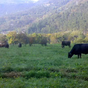 Agriturismo Biobio Italien